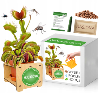 Sada na pestovanie mucholapky Dionaea Muscipula Venus